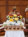 mass1